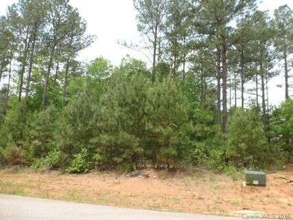4046 Persimmon Road sold home in Riverchase, Lancaster, SC