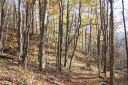 9999 Emerald Lane sold home in Maggie Valley, SC