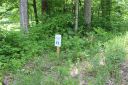 Tbd Sanctuary Trail E1, (Plus Lots 30,38,105) sold home in Mars Hill, SC