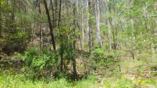 Lot 24 Freedom Lane sold home in Spring Creek, Hot Springs, NC