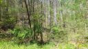 Lot 24 Freedom Lane sold home in Hot Springs, SC