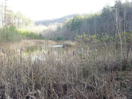 0 Cane Creek Mountain Road 11B