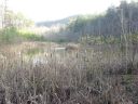 0 Cane Creek Mountain Road 11B sold home in Union Mills, SC