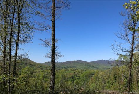 62 Arabella Lane 326 sold home in Arabella Heights, Arden, NC