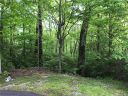 24 Sw Locust Court sold home in Sapphire, SC