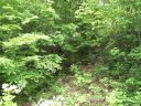 Lot 93 Denman Drive sold home in Lake Junaluska, SC