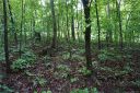 Lot 31 Bent Tree Drive sold home in Rutherfordton, SC