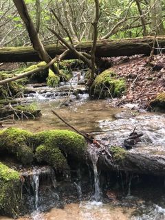 K 12r Galax Lane