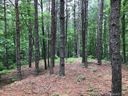 9181 Shortoff View Terrace sold home in Nebo, SC