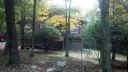 105 Pinnacle Ridge Road sold home in Beech Mountain, SC