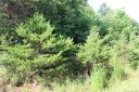 249 Donsdale Drive sold home in Statesville, SC
