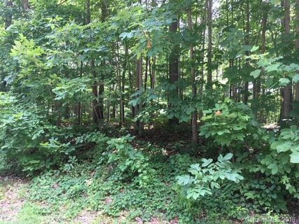 459 Beaten Path Road