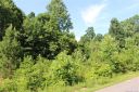 250 Donsdale Drive sold home in Statesville, SC