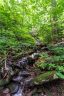 9999 Lower Flat Creek Road 6 sold home in Black Mountain, SC