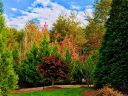 N A Pinnacle Drive 32 sold home in Iron Station, SC