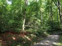 Lot 4 A Pole Cat Road sold home in Saluda, SC
