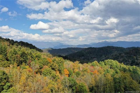 Vl 308 Mountain Forest Road