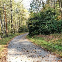 Vl40 Mountain Forest Estates None