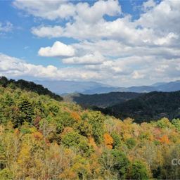 Vl302 Mountain Forest Estates None