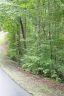 Lot 4 Cobblestone Drive sold home in Marion, SC