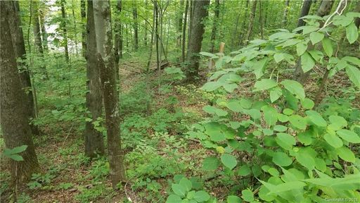 0 Bear Creek Lane 20 sold home in Bear Creek, Saluda, NC