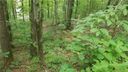 0 Bear Creek Lane 20 sold home in Saluda, SC