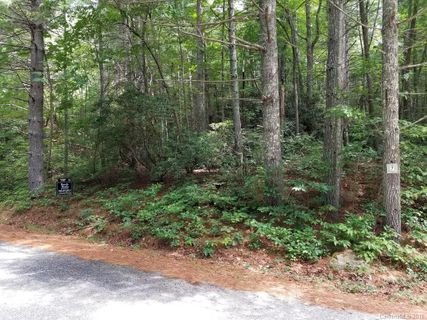 0 Old Mt Olivet Road 7 sold home in Hickory Run, Zirconia, NC