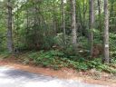 0 Old Mt Olivet Road 7 sold home in Zirconia, SC