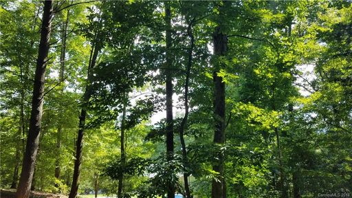 000 Old Overlook Trail 193 & 192