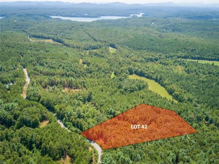 1677 Pisgah Preserve Drive Lot# 42