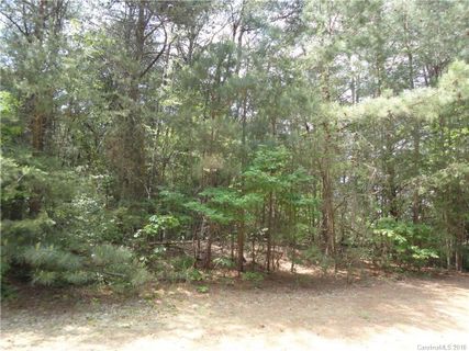 4868 Slanting Bridge Road 41