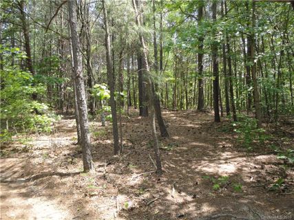 4876 Slanting Bridge Road 42