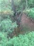 Lot 30 Mintew Circle sold home in Lincolnton, SC