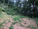 360 Grand Oak Trail sold home in Waynesville, SC
