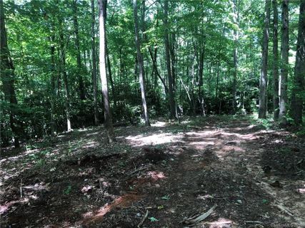1248 Arborcrest Way Lot 46
