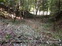 190 Yosemite Falls Road 148 sold home in Black Mountain, SC