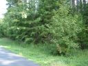 173 Northington Woods Drive 25 sold home in Mooresville, SC