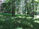 2216 Grey Road sold home in Davidson, SC