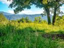 15 Wandering Oaks Way sold home in Asheville, SC