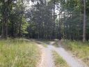 1262 Love Valley Road sold home in Clover, SC