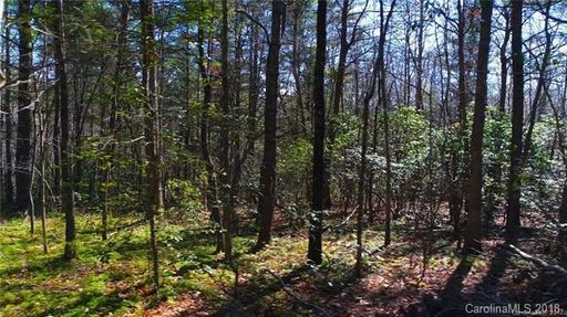 99999 Sedgewood Court sold home in Sedgewood, Fairview, NC