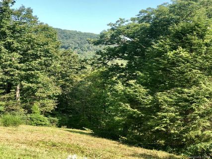 Lot 16 Deer Trail