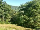 Lot 16 Deer Trail sold home in Lake Lure, SC