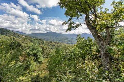 Tbd Black Oak Drive 13 sold home in The Forest, Asheville, NC