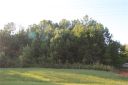 31 Nesbit Road sold home in Waxhaw, SC
