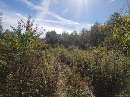45 Spicewood Road 11 sold home in Spicewood, Weaverville, NC