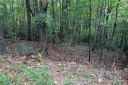 11 Oakwood Drive sold home in Brevard, SC