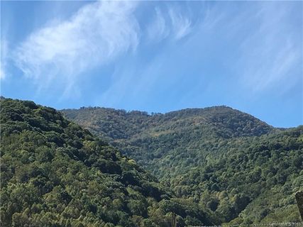 53 Tug Fork Trail 16