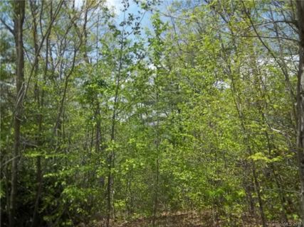 26 W Bobcat Court sold home in Dunroy on Rutledge, Flat Rock, NC
