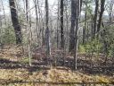 00 Glen Echo Circle Lots 92 and 94 sold home in Saluda, SC